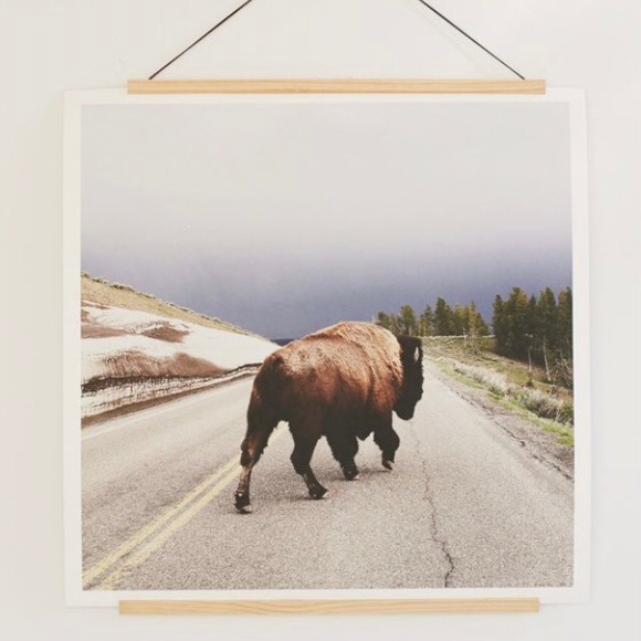 NWOT Urban Outfitters Wooden Dowel Print Holder with Leather Hanger - Picture 2 of 6